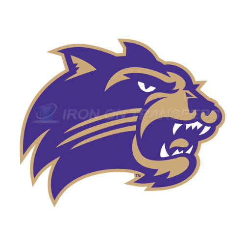 Western Carolina Catamounts Logo T-shirts Iron On Transfers N695 - Click Image to Close